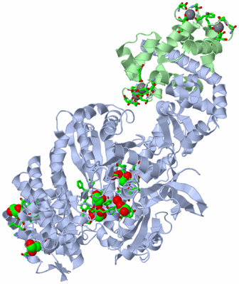 Image Asym./Biol. Unit - sites