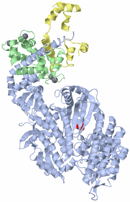 Image Asym./Biol. Unit