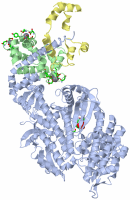 Image Asym./Biol. Unit - sites