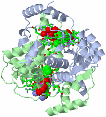 Image Asym./Biol. Unit - sites