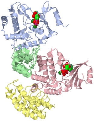 Image Asymmetric Unit