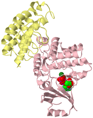 Image Biological Unit 2