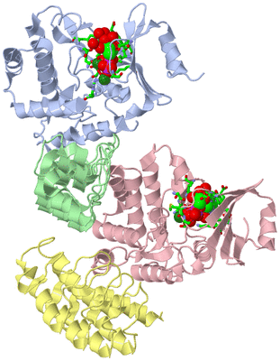 Image Asym. Unit - sites