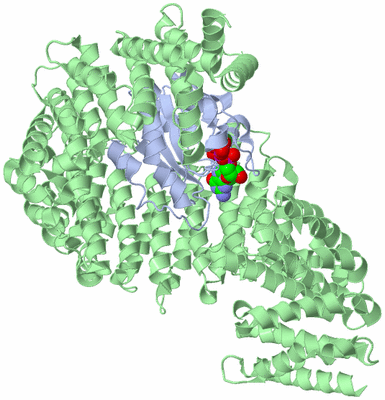 Image Biological Unit 1