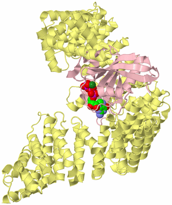 Image Biological Unit 2