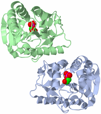 Image Asymmetric Unit