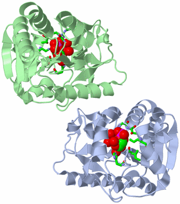 Image Asym. Unit - sites