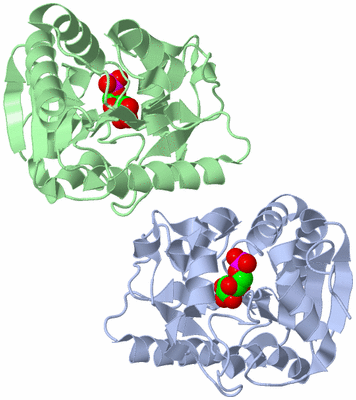 Image Asymmetric Unit