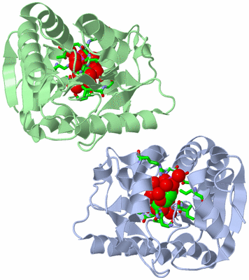 Image Asym. Unit - sites