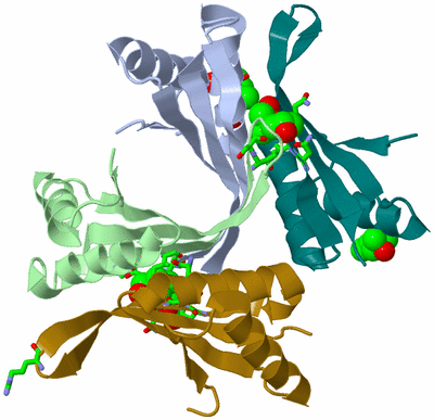 Image Asym./Biol. Unit - sites