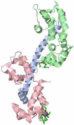 Image Asym./Biol. Unit - sites