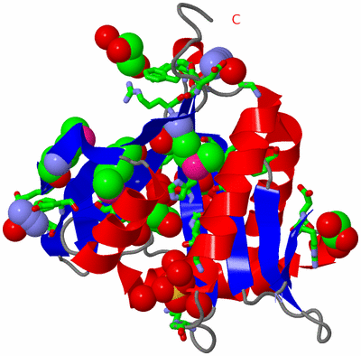 Image Asym./Biol. Unit - sites