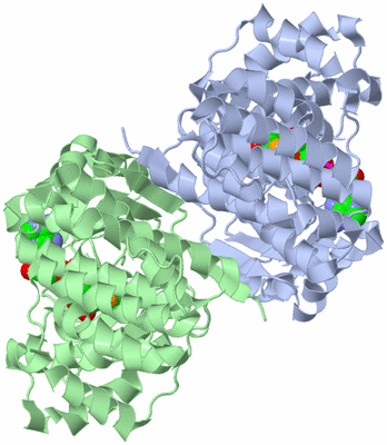 Image Asym./Biol. Unit