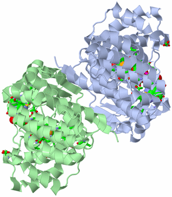Image Asym./Biol. Unit - sites