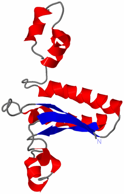 Image NMR Structure - model 1