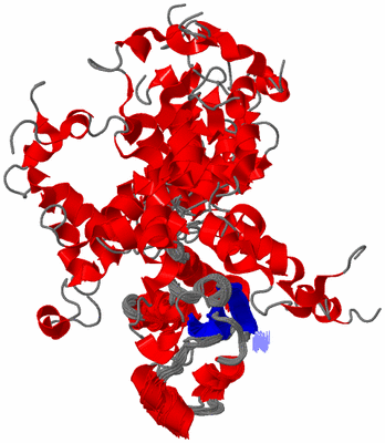 Image NMR Structure - all models