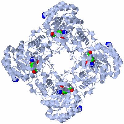 Image Biological Unit 1