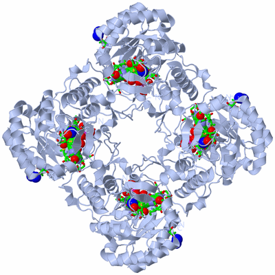 Image Biol. Unit 1 - sites