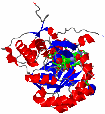 Image Asym. Unit - sites