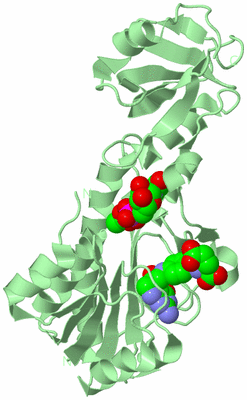 Image Biological Unit 2