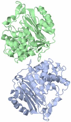 Image Asym./Biol. Unit