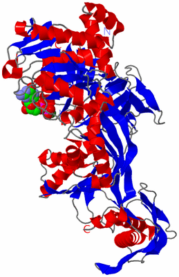 Image Asym./Biol. Unit