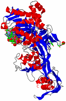 Image Asym./Biol. Unit - sites