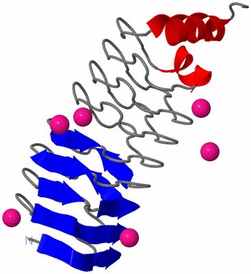 Image Asymmetric Unit