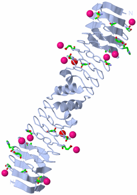 Image Biol. Unit 1 - sites