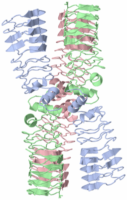 Image Biological Unit 1