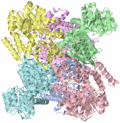 Image Asym./Biol. Unit