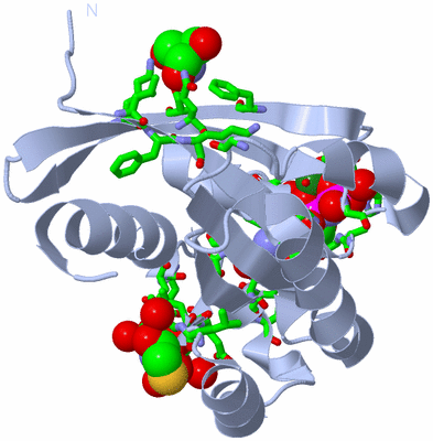 Image Biol. Unit 1 - sites