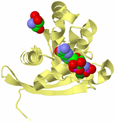 Image Biological Unit 4