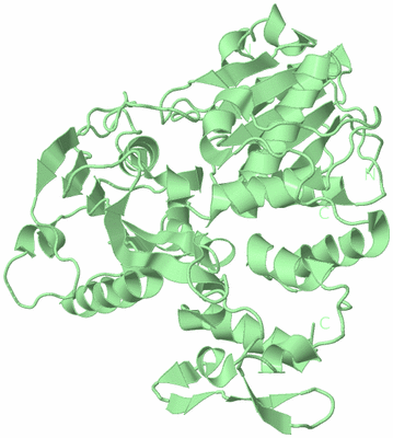 Image Biological Unit 2