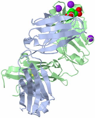 Image Biological Unit 1