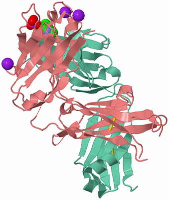 Image Biological Unit 2