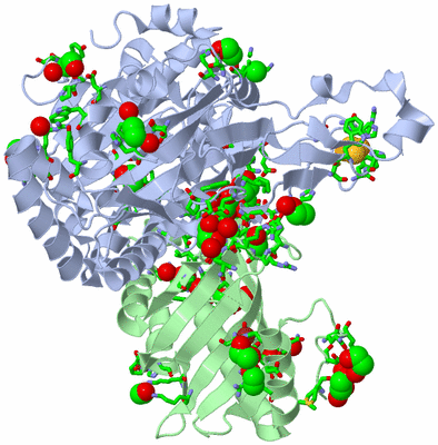Image Asym. Unit - sites