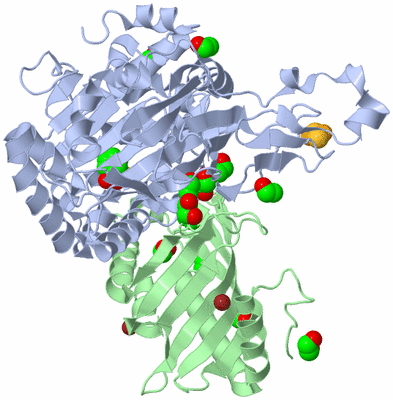 Image Asymmetric Unit