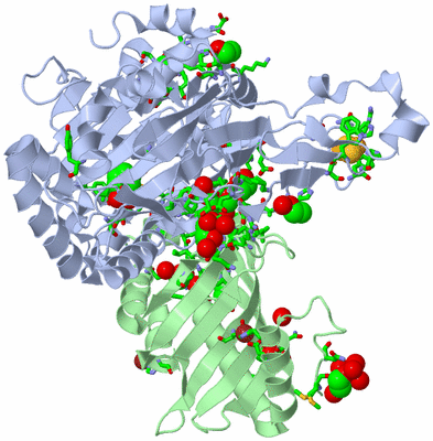 Image Asym. Unit - sites