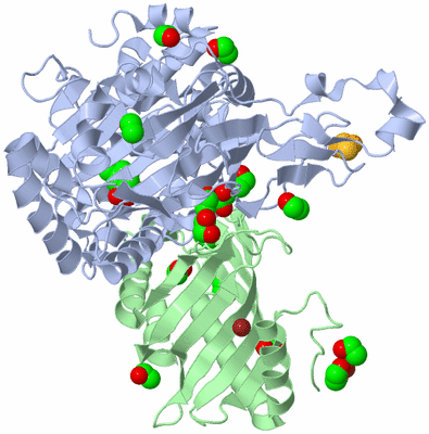 Image Asymmetric Unit