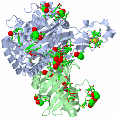 Image Asym. Unit - sites