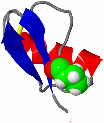 Image NMR Structure - model 1