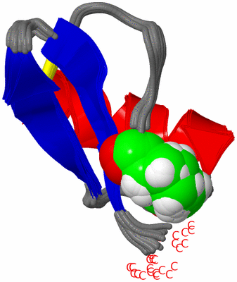 Image NMR Structure - all models