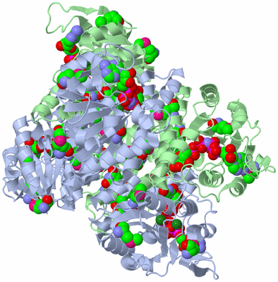 Image Biological Unit 1