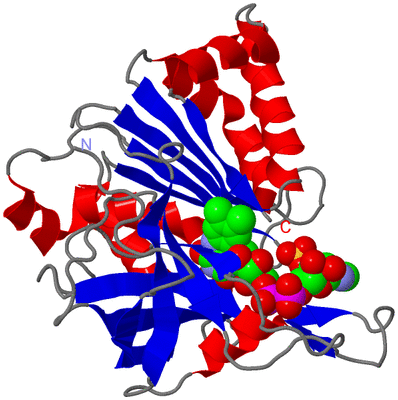 Image Asym./Biol. Unit