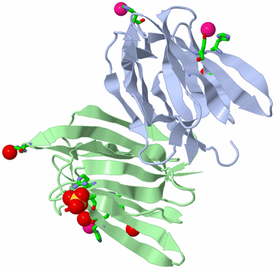 Image Biol. Unit 1 - sites