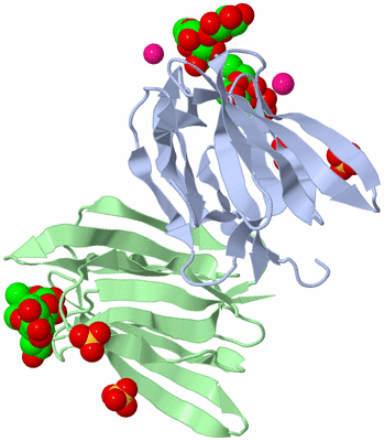 Image Biological Unit 1