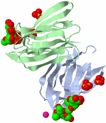 Image Biological Unit 2