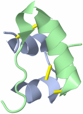 Image Asymmetric Unit