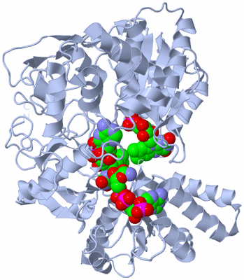 Image Biological Unit 1